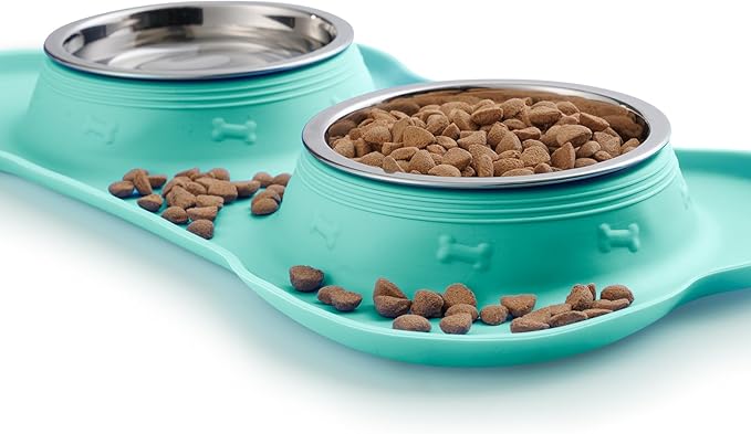 Hubulk Pet Dog Bowls 2 Stainless Steel Dog Bowl with No Spill Non-Skid Silicone Mat + Pet Food Scoop Water and Food Feeder Bowls for Feeding Small Medium Large Dogs Cats Puppies (Medium, Mint Green)