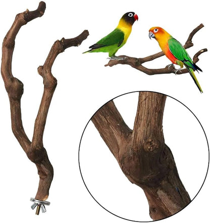PINVNBY Natural Parrot Perch Bird Stand Pole Wild Grape Stick Paw Grinding Fork Parakeet Climbing Standing Branches Toy Chewable Cage Accessories for Small Lovebirds Budgies Cockatiels 2PCS