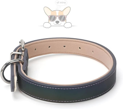 WHIPPY Leather Dog Collar for Medium Large Dog Adjustable Soft Leather Padded Puppy Collar with Alloy Buckle Heavy Duty Waterproof Classic Dog Pet Collar