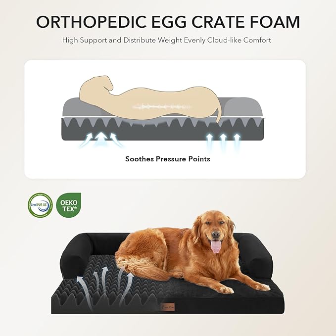Orthopedic Dog Beds for Large Sized Dogs, Waterproof Egg Crate Foam Large Dog Couch Beds with Comfy Bolster 36x27Inch, Washable Pet Beds with Removable Cover and Nonskid Bottom, Black