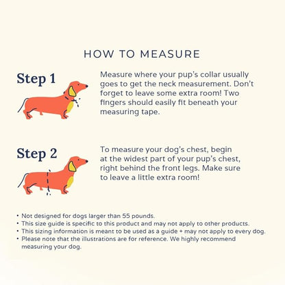 Lucy & Co. Lime Green with Blue Checker Smiley Faces, Cute Reversible Dog Harness Walking Halter - Best Designer Pet Harnesses for XS - XL Dogs - Padded Adjustable Vest for Easy Walking (X-Small)