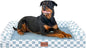 Large Dog Bed Orthopedic Washable: Beds Bolster XXL Bed Big XLarge Dogs Egg Crate Foam Sofa Couch Waterproof Removable Cover - Blue Grid