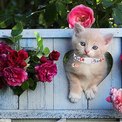 Lionet Paws 2pcs Pack Valentine's Day Cotton Cat Collar,White Breakaway Buckle with Colorful Pink Heart Cute Adjustable Cat Kitten Collar,Ideal for Girl Cats