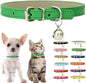 Green XS Dog Collar with Bell, Soft Pu Leather Cat Collars Adjustable Buckle for XXS Extra Small Medium Tiny Female Male Boys Girls Pets Puppy Kitten Teacup Yorkie X-Small