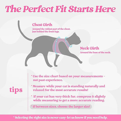 rabbitgoo Cat Harness and Leash Set for Walking Escape Proof, Adjustable Soft Kittens Vest with Reflective Strip for Cats, Comfortable Outdoor Vest, Pink, M