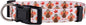 Native Pup Thanksgiving Dog Collar- Fall Collars for Dogs- Autumn Leaf, Turkey, Pumpkin Pie, Holiday Leaves- Girl Boy Puppy- Adjustable for Small, Medium, Large Breeds (Turkey, Large)