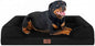 Comfort Expression Orthopedic Dog Bed for Extra Large Dogs 48x30 Inch, Waterproof Egg Crate Foam XXL Pet Bed with Removable Bolsters, Dog Couch with Washable Cover & Non-Slip Bottom, Black