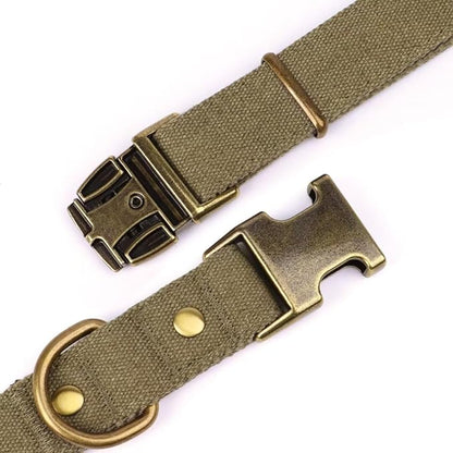 PET ARTIST Dog Collar for Large Dogs, Soft Padded Premium Nylon Dog Collar with Quick Release Metal Buckle, Durable & Adjustable Pet Collars for Boy Gifts, Green, L (Fit 15-22")