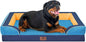 Comfort Expression Orthopedic Dog Bed for Extra Large Dogs 45x35 Inch, Waterproof Egg Crate Foam XL Pet Bed with Removable Bolsters, Dog Couch with Washable Cover & Non-Slip Bottom, Houston