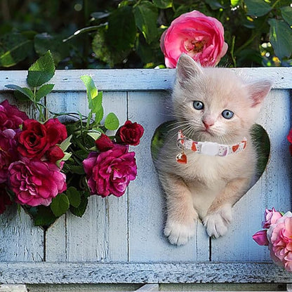 Lionet Paws 2pcs Pack Valentine's Day Cotton Cat Collar,White Breakaway Buckle with Colorful Pink Heart Cute Adjustable Cat Kitten Collar,Ideal for Girl Cats