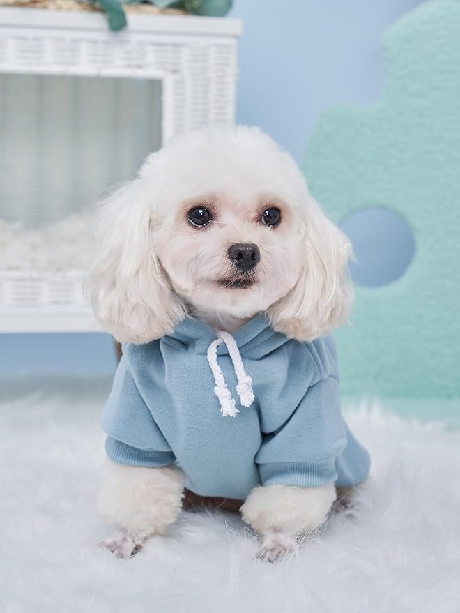 QWINEE Basic Dog Hoodie Sweatshirt Puppy Sweater Warm Cat Costumes Pet Clothes for Chihuahua Puppy Kitten Small Medium Dogs Multicolored Medium