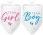 2 Packs Team Girl Team Boy Gender Reveal Baby Announcement Dog Bandana Pet Pregnancy Announcement Pink and Blue Dog Triangle Scarf Accessories for Small Medium Large Dogs Cats