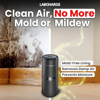 LabCharge Small Ionic Air Purifier for Home & Bedroom – Silent HEPA Filter – Covers 250 Sq Ft - Free Cleaner for Pets, Hair, Smoke, Dust, Odors & Dander – Compact & Black Design - Pack of 2