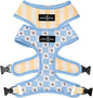 Lucy & Co. Bumbling Around Reversible Dog Harness, Adjustable Comfort Fit with Dual Leash Attachments, Medium