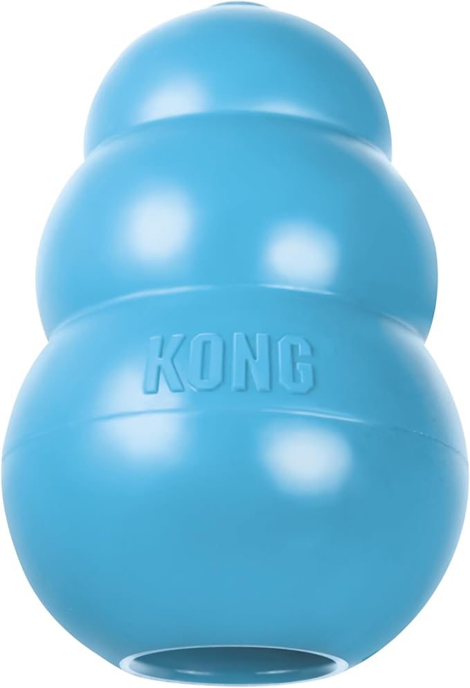 KONG - Puppy Toy - Natural Teething Rubber - Fun to Chew, Chase and Fetch ( Colors May Vary)
