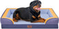 Comfort Expression Orthopedic Dog Bed for Extra Large Dogs 45x35 Inch, Waterproof Egg Crate Foam XL Pet Bed with Removable Bolsters, Dog Couch with Washable Cover & Non-Slip Bottom, Twilight Wave