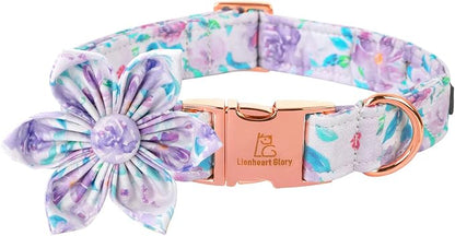Lionheart Glory Dog Collar, Purple Dog Collar with Flower, Cute Floral Pattern Pet Collar Adjustable Dog Collar for Medium Dogs