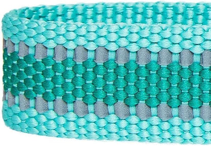 Blueberry Pet Essentials Matching Small Dog Collar | Adjustable Classic Solid Color Nylon Dog Collars for Small Dogs | Reflective Minty Green Dog Collar for Small Dogs