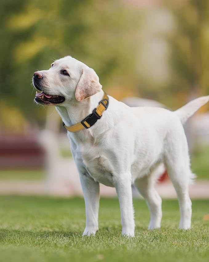 Joytale Large Dog Collar, Reflective and Adjustable Nylon Pet Collar with Quick-Release Buckle for Large Dogs, Khaki, L