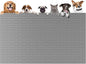 51.2"x25.6"(130cm×65cm) Largest Dog Food Mat, XXXXL Silicone Dog and Cat Mat for Food and Water Bowls, Thinken Waterproof Non-Slip XXXL Pet Feeding Mat for Floors, Light Gray
