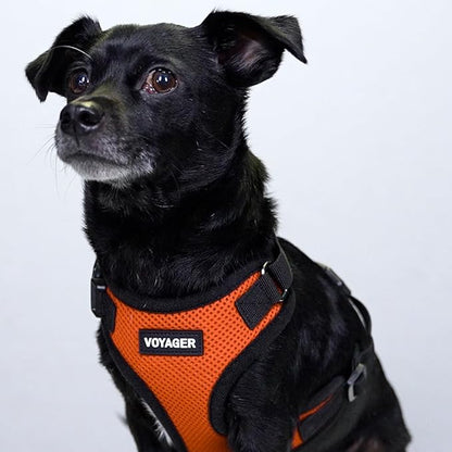Voyager Step-in Pet Harness - All Weather Mesh, Adjustable Step in Harness for Cats and Dogs by Best Pet Supplies - Orange/Black Trim, M