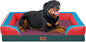 Comfort Expression Orthopedic Dog Bed for Extra Large Dogs 45x35 Inch, Waterproof Egg Crate Foam XL Pet Bed with Removable Bolsters, Dog Couch with Washable Cover & Non-Slip Bottom, San Francisco