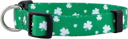 Native Pup St Patricks Dog Collar- Saint Patrick Green Shamrock Pet Collars- St. Patrick’s Lucky Irish- Cute Boy Girl Puppy Gift- Adjustable for Small, Medium, Large Breeds (Lucky Shamrock, Large)