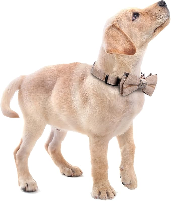 Faleela Soft &Comfy Bowtie Dog Collar,Detachable and Adjustable Bow Tie Collar,for Small Medium Large Pet (L, Brown)