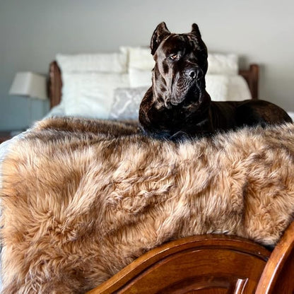 PupProtector Waterproof Throw Blanket for Dogs and Cats, Pet Blanket Cover for Couches, Sofas, Beds, Car Seats, Furniture, Calming Soft Faux Fur, Sable Brown, Original (60" L x 50" W)
