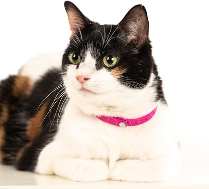 3 Pack Breakaway Cat Collar - Soft, Comfortable, and Lightweight Safety Buckle Collar with Name Tag Ring for Outdoor Cats and Sensitive Skin Kittens by Nuvuq (6 ⅞" to 10 ¼", Blue, Pink and Black)