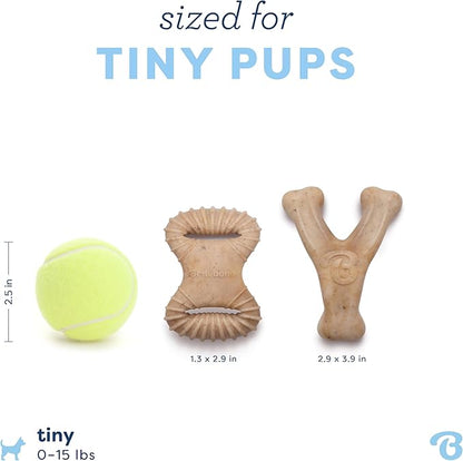 Benebone Puppy 2-Pack Dental Chew/Wishbone Real Chicken Tiny