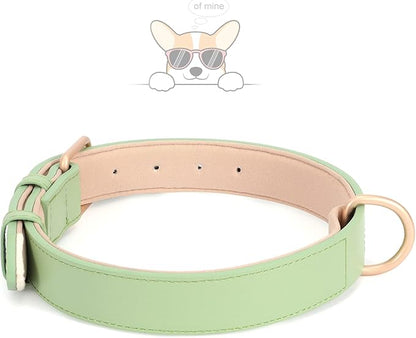 WHIPPY Leather Dog Collar for Small Medium Large Dog Adjustable Soft Breathable Leather Padded Puppy Collar with Alloy Buckle Heavy Duty Waterproof Classic Dog Pet Collar,Green