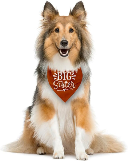 Big Sister Bandana for Dogs, Pet Pregnancy Announcement, Dark Orange Dog Bandana, Dog Baby Announcement, Pet Bandanas for Small Medium Dogs (M)