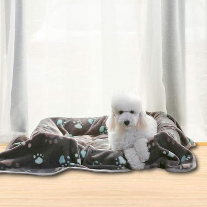 Allisandro Super Soft and Premium Fuzzy Flannel Fleece Pet Dog Blanket, The Cute Print Design Washable Fluffy Blanket for Puppy Cat Kitten Indoor Outdoor, Grey, 32 x 24 Inches