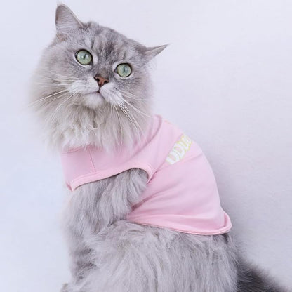 Custom Dog Shirt,Personalized Pet Apparel with Name Text Photo Image,Lightweight Breathable Puppy Kitten Cotton Vest for Small Medium Large Dogs Cats,Puppy Gift (White, 3X-Large)