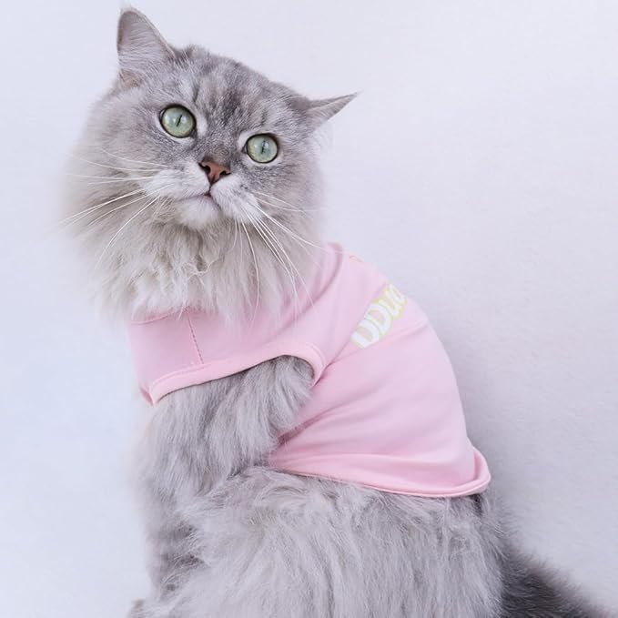 Custom Dog Shirt,Personalized Pet Apparel with Name Text Photo Image,Lightweight Breathable Puppy Kitten Cotton Vest for Small Medium Large Dogs Cats,Puppy Gift (White, X-Small)
