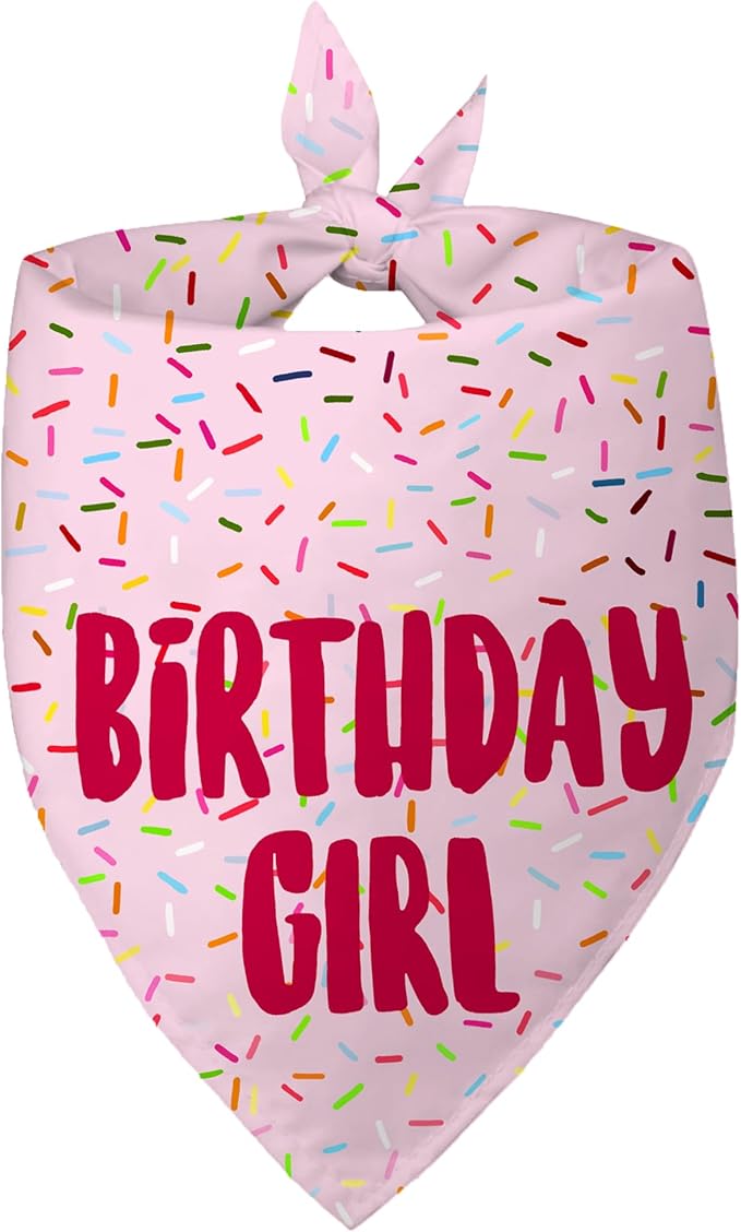 Birthday Girl Dog Bandanas 1 Pack, Pink Dog Scarfs for Girl, HBD Pet Scarves for Birthday Bandanas for Small Medium Dogs (Pink, Small)