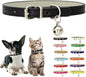 Black XS Dog Collar with Bell, Soft Pu Leather Cat Collars Adjustable Buckle for XXS Extra Small Medium Tiny Male Boys Girls Pets Puppy Kitten Teacup Yorkie X-Small