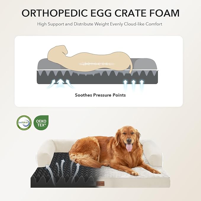 Orthopedic Dog Beds for Extra Large Dogs, Waterproof Egg Crate Foam XL Dog Bed with Sides 45x35Inch, Big Dogs Couch Beds with Removable Washable Cover and Nonskid Bottom, Beige