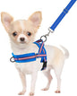 SlowTon No Pull Small Dog Harness and Leash Set, Puppy Soft Vest Harness Neck & Chest Adjustable, Reflective Lightweight Harness & Anti-Twist Pet Lead Combo for Small Medium Dogs (DB-Front Clip, XS)