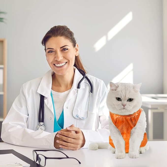 Avont Cat Recovery Suit - Kitten Onesie for Cats After Surgery, Cone of Shame Alternative Surgical Spay Suit for Female Cat, Post-Surgery or Skin Diseases Protection -Tie-dye Orange(L)
