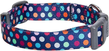 Blueberry Pet Essentials Rainbow Polka Dots Adjustable Dog Collar, Medium, Neck 14.5"-20"