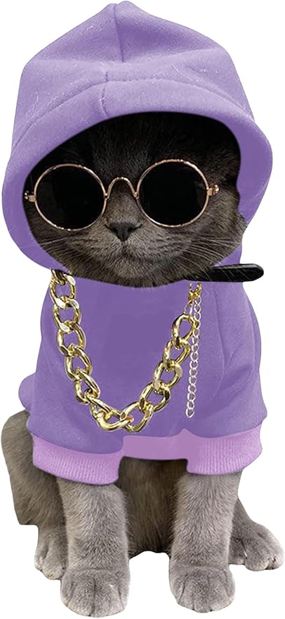 QWINEE 3Pcs Dog Hoodie Cat Apparel Dog Custume Set with Necklace and Sunglasses Pet Clothes for Puppy Small Medium Dogs Cats Mauve Purple XX-Small