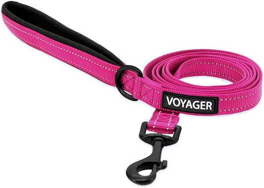 Best Pet Supplies Voyager Reflective Dog Leash or Collar with Neoprene Handle, for Small, Medium, and Large Breed Puppies, Cute and Heavy Duty for Walking, Running and Training - Fuchsia (Leash), L