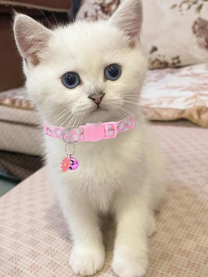10PC Floral Cat Collar Set with Bells - Breakaway Safety for Kittens and Small Cats (#2)