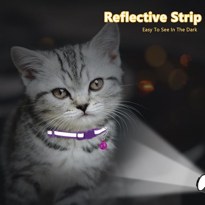 Taglory Kitten Collar Breakaway with Bell, 2 Pack Girl Boy Pet Kitten Collar Adjustable 6-8 Inch for 2-6 Months Cat, Purple