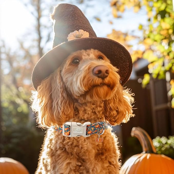 Fall Dog Collar Cute Autumn Pumpkin Puppy Collar - Light Comfortable Adjustable Pet Collars for Small Medium Large Girl Boy Dogs XS