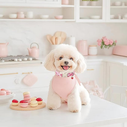 Strawberry Bow Dog Collar for Puppy Small Dogs - Cute Pink Spring/Summer Girl Dog Collars, Lightweight Adjustable Female Girly Dogs Collars with Quick Release Buckle XS