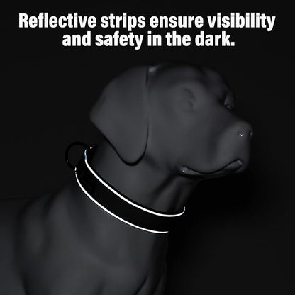 Plutus Pet Tactical Dog Collar, Reflective, Adjustable Heavy Duty Dog Collar, Soft Padded and Comfortable, for Small Medium and Large Dogs (Gray, L)