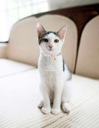 Cat Collar Breakaway with Bells,3 Pack Safety Adjustable Pet Collars,Ideal for Girl Boy Kittens. (White Yellow Pink)